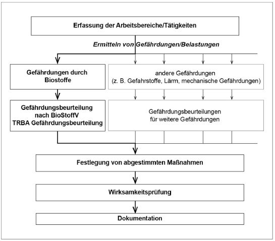 Abb. 1: Gefhrdungen durch Biostoffe als Teil der Beurteilung der Arbeitsbedingungen nach  5 ArbSchG